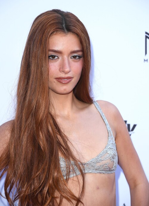 dixie7 34a56c9fbe4a3f2f2e