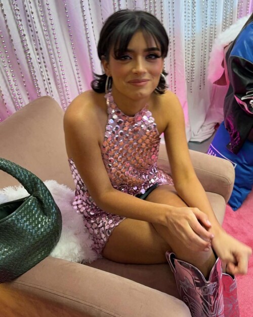 dixiedamelio b6fe8a4928f24371b1d702030550908f1bea3d99f5eccbbd