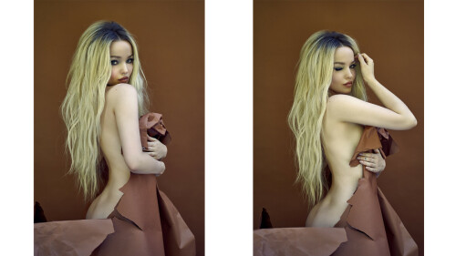 dove 1ab1bda1cad4fffd3