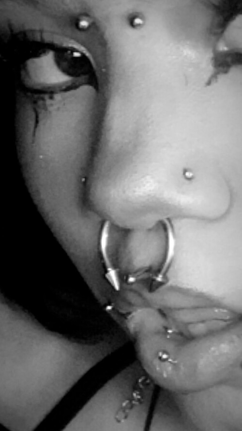 download 161e6f9916db57bc1c