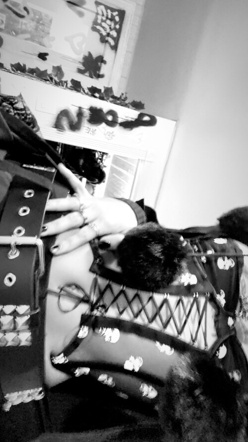 download5f40ff29c6cbcd72