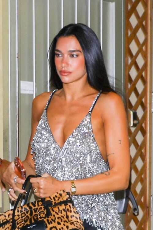 dua lipa braless silver sequin top alba los angeles 003 667x1000a73fb29a2194c91d