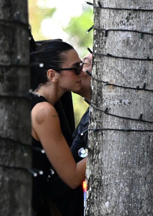 dualipa-11f9ebfe1bbc1ed498