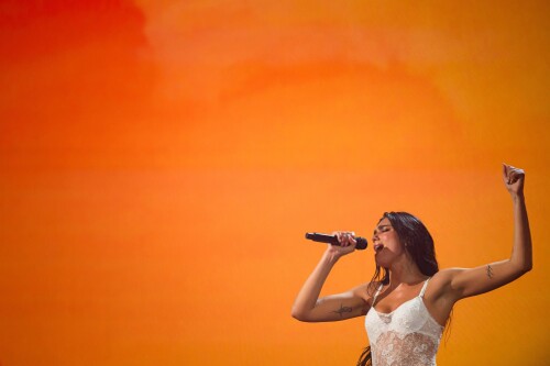 dualipa 4328d684881374c6a