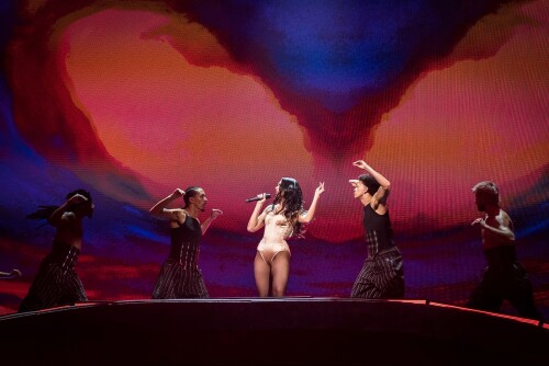 duemausnzz 14322e2edc39fb9223