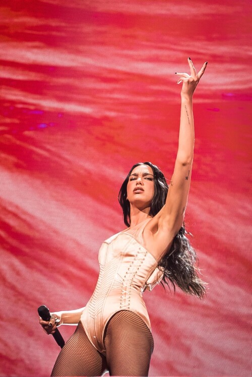 duemausnzz 27b4ba7800a1eb5ce