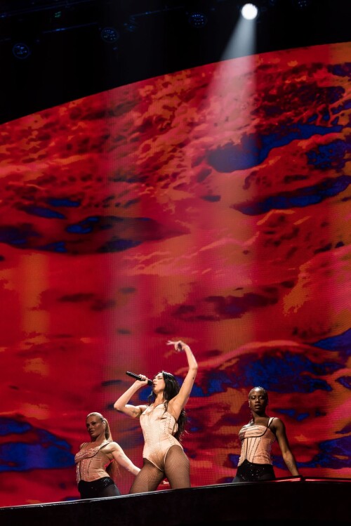 duemausnzz 88e716b68818715f3