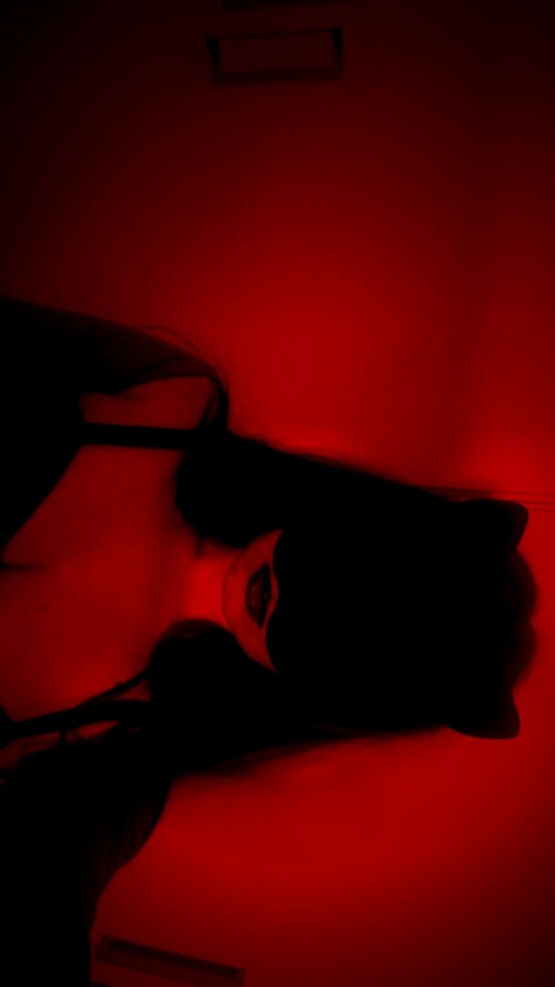 e06a2af9 ce34 4611 b746 93e8c9234d54 cat10688a6771eb403904