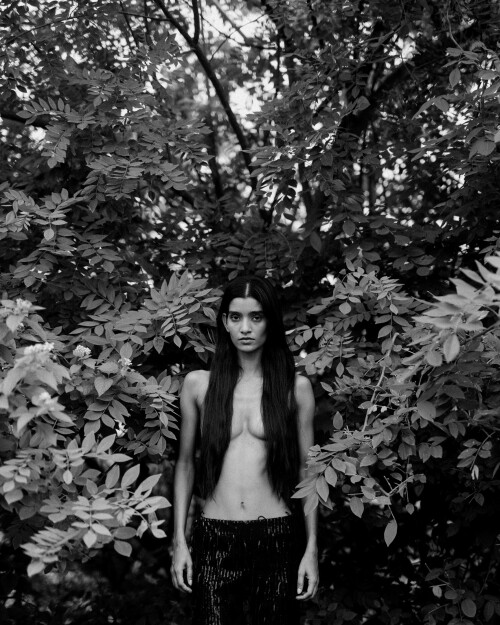 e1ce49199286103.664ef8b516f8ae1519b7130de668a