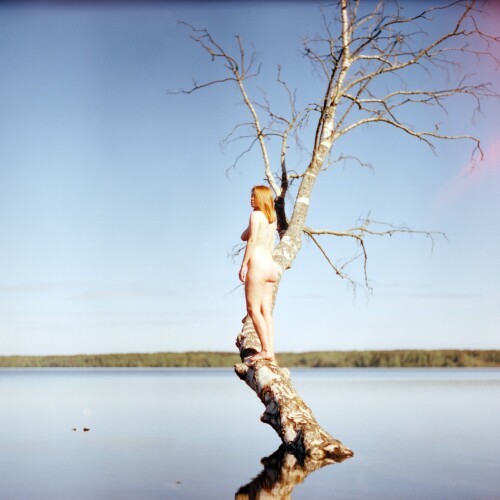 ea43baf6 2391 479b a383 868a8d7268fa2b3ed455f6e830fa