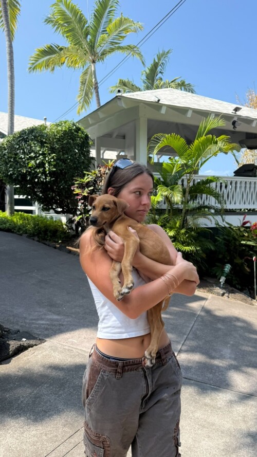 ea645e9b4b5b5791ea09185eac898f18d2e92763513c3d2f