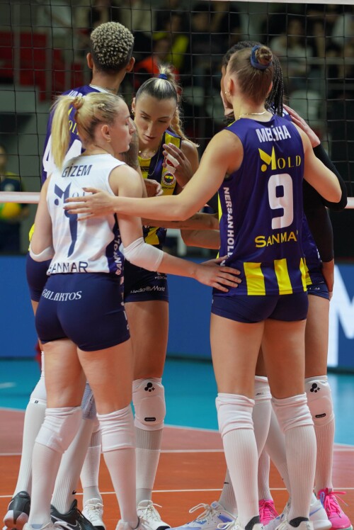 ec87dbea-c9a1-42e6-8678-d7fb3cb131e6-1f43c6ce5444cd5c4