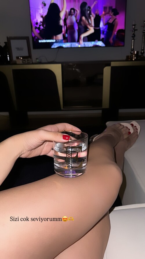 elifkaraarslan 17 20250628 000349ca86f880516f34