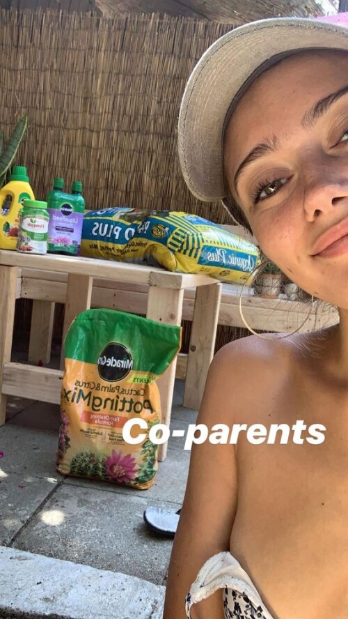 ella2318c63d21812914d