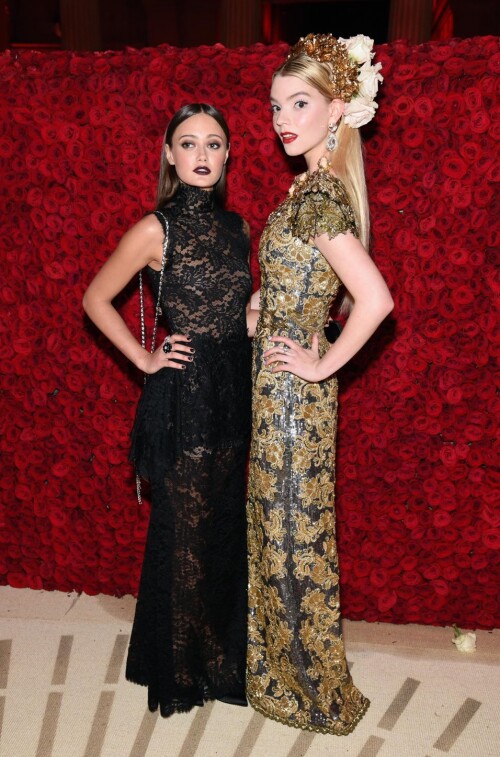 ella3bc377c8f3a33773a