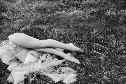 elm050125wladdison 002 67fffea43a2150eaf331a881b774b