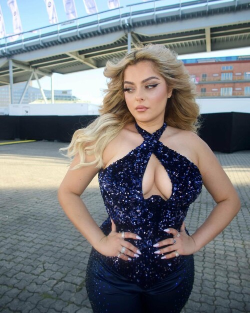 elnlei4a8dgb1b854a8ee213a595a