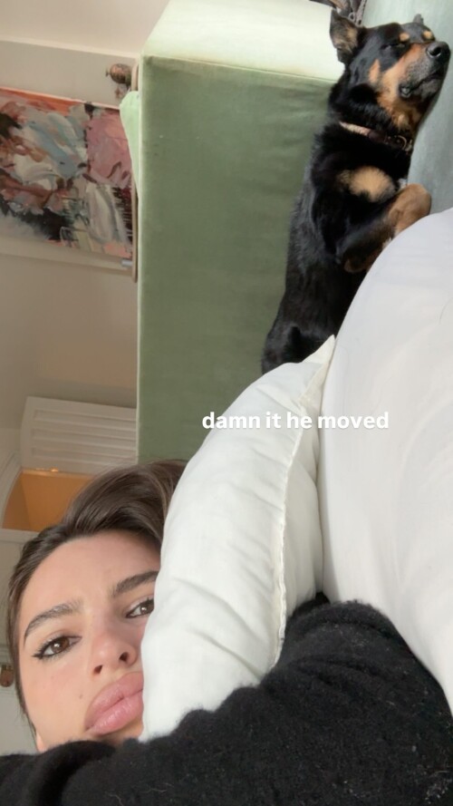 emrata 1762452521 19998246b2cd9e3a95e9fb5