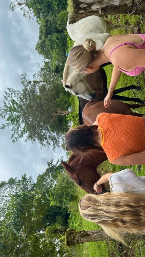 esmt2fhEADlwp0XcEDzqj.10236d2132b914ed5d70