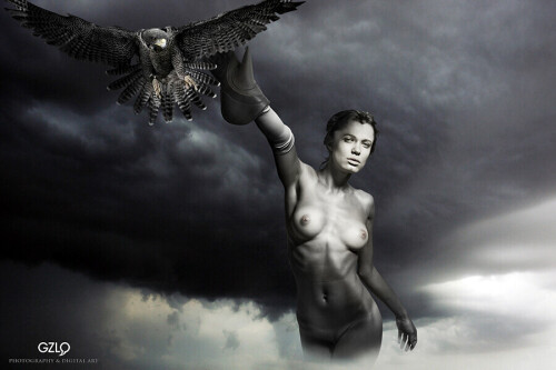 falcon attackff1990d8387fb025