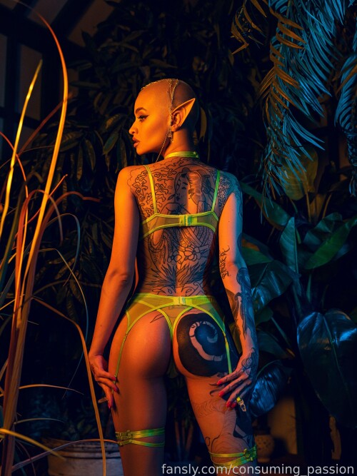 fansly wnfhn3a54w7a04823e5a6ba0822