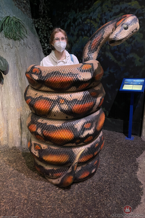 fio012atk 39313803442a7f8859a55aa156bb2ecb8f1079a40