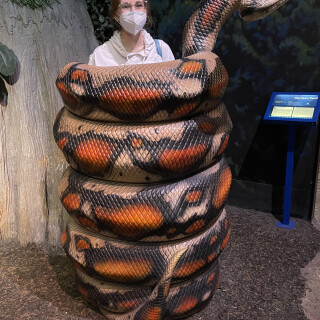 fio012atk_39313803442a7f8859a55aa156bb2ecb8f1079a40