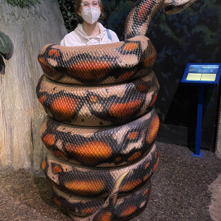 fio012atk_39313803592da4d3059cbd7f5d261be08e67c2ea8