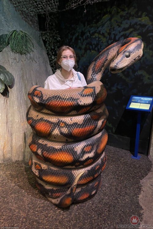 fio012atk 393138036177ba324e0126d781378570383cee82e