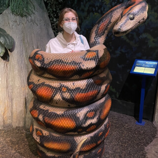 fio012atk_393138036177ba324e0126d781378570383cee82e