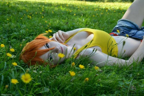 flower bed by whitespringpro d7vpk4u fullview