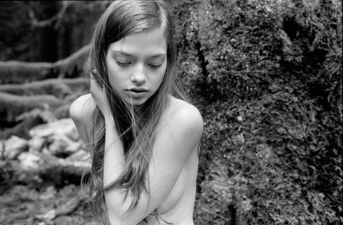 forest427ac09af03c6181e