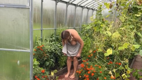 frame 000638dd6a3ed4c35e45