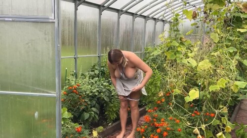 frame 00073fc037845366d172