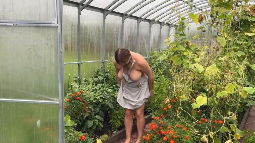 frame 00087f1ddee566645dd0