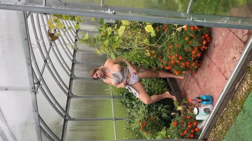 frame 00323695175999611fd3