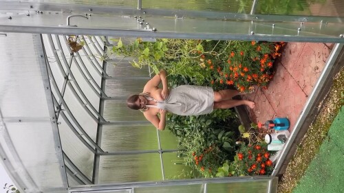 frame 0047f6d1558c41bd6221