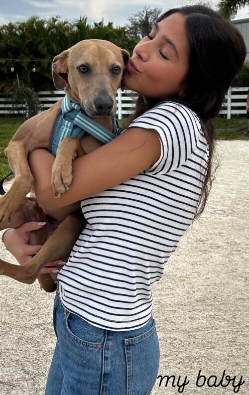 franscesca.b 482645647 18488434693003497 13462b97cd7d1e8fd391