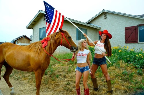 full 2d2a1dea7f864a454