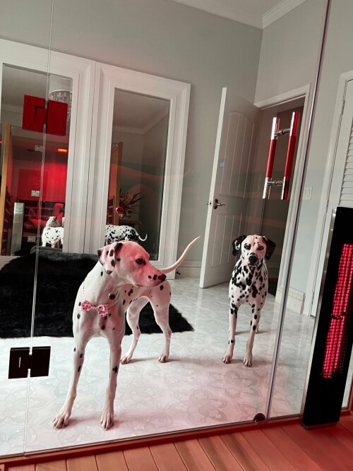 full3732d9bd5145c903