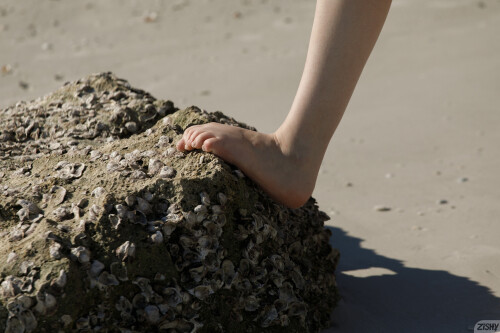 full_014_21340007193462