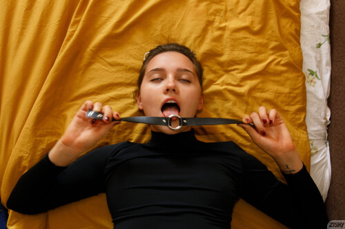 full_021_115229966519421828ed65d53aa68f61