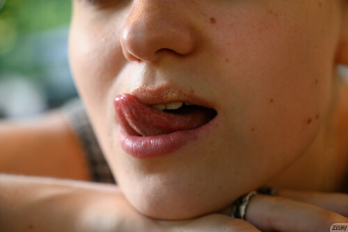 full 055 913609210210133062b5094e1759d064