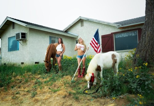 fullc13eff154f0da0f2