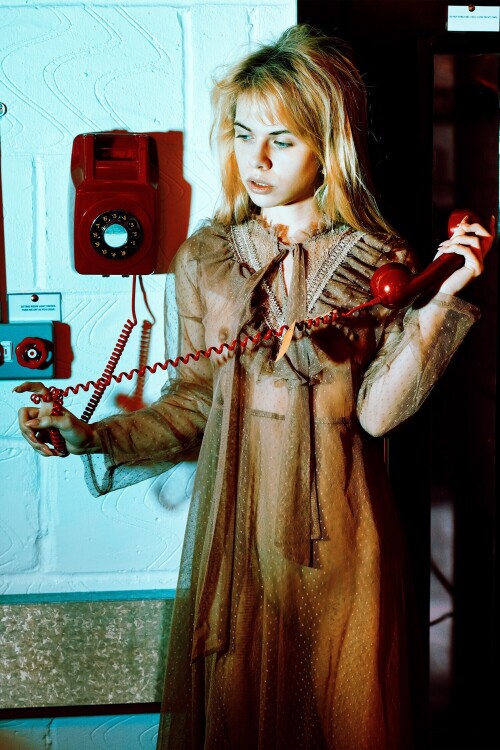 fvm alex036d6ba9c5f018fc78