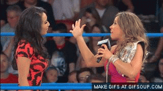 gail-kim-vs-mickie-james-brawl-ob4d44e9ca0224718.gif