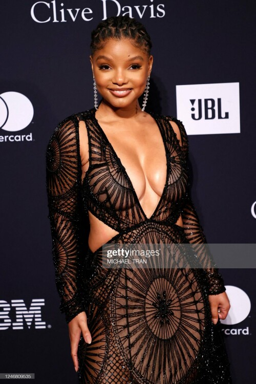 US singer Halle Bailey arrives for the Recording Academy and Clive Davis pre-Grammy gala at the Beverly Hilton hotel in Beverly Hills, California on February 4, 2023. (Photo by Michael TRAN / AFP) (Photo by MICHAEL TRAN/AFP via Getty Images)