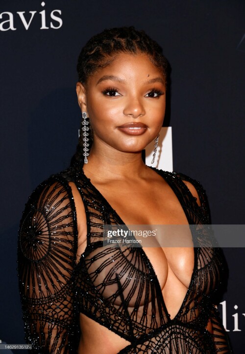 BEVERLY HILLS, CALIFORNIA - FEBRUARY 04: (FOR EDITORIAL USE ONLY) Halle Bailey attends the Pre-GRAMMY Gala & GRAMMY Salute To Industry Icons Honoring Julie Greenwald & Craig Kallman at The Beverly Hilton on February 04, 2023 in Beverly Hills, California. (Photo by Frazer Harrison/Getty Images)