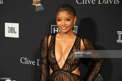 BEVERLY HILLS, CALIFORNIA - FEBRUARY 04: (FOR EDITORIAL USE ONLY) Halle Bailey attends the Pre-GRAMMY Gala & GRAMMY Salute To Industry Icons Honoring Julie Greenwald & Craig Kallman at The Beverly Hilton on February 04, 2023 in Beverly Hills, California. (Photo by Jeff Kravitz/FilmMagic)