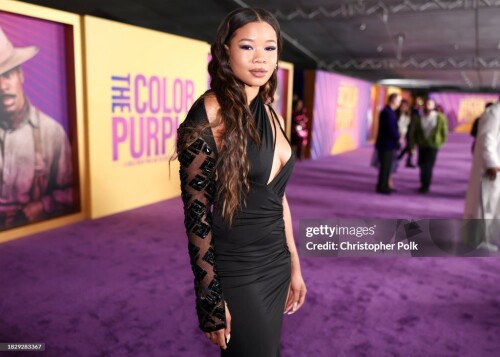 Storm Reid at the premiere of "The Color Purple" held at The Academy Museum on December 6, 2023 in Los Angeles, California. (Photo by Christopher Polk/Variety via Getty Images)